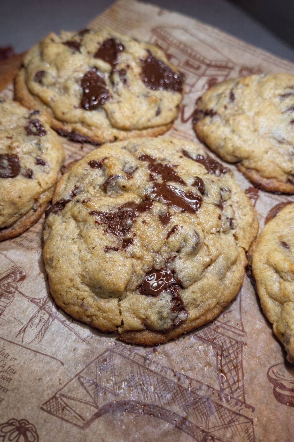 Gourmet Chocolate Chip Cookies